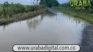 Lluvias provocan inundaciones en zonas agrícolas de Chigorodó